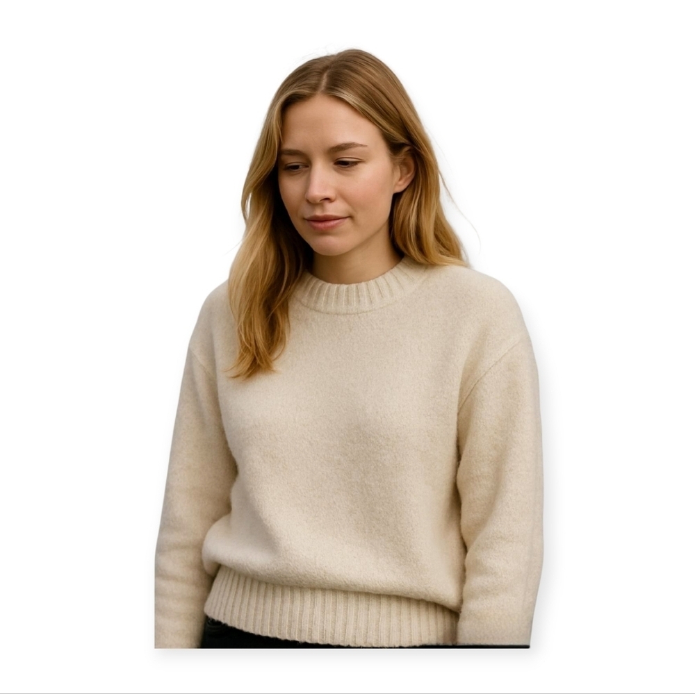 Everlane Cream Wool Blend Crewneck Sweater Womens Small Minimalist Neutral